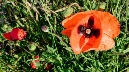 2023-06-01-StDenisC03