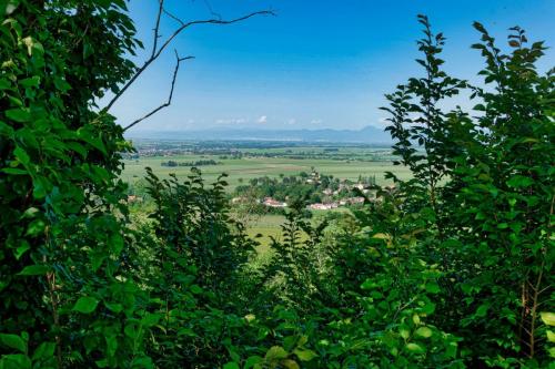 2023-06-01-StDenisC06