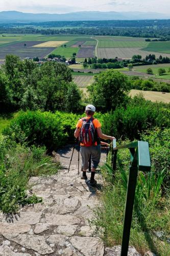 2023-06-01-StDenisC07