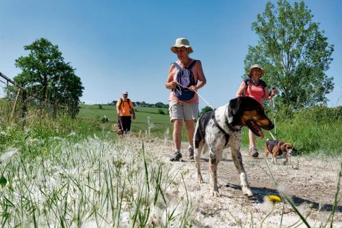 2023-06-01-StDenisC10