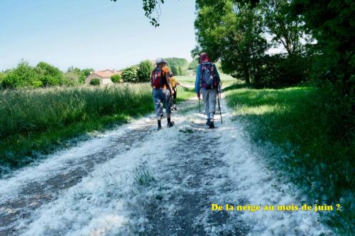 2023-06-01-StDenisC11