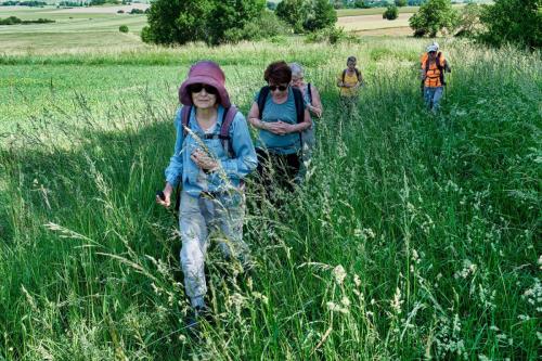 2023-06-01-StDenisC12