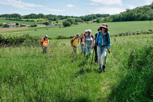 2023-06-01-StDenisC13