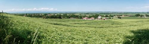 2023-06-01-StDenisC15