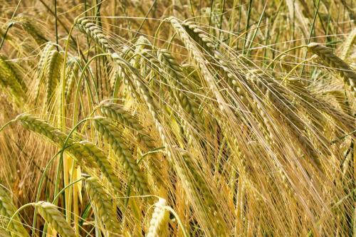 2023-06-08-Espinasse04