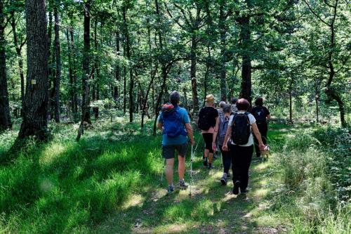 2023-06-08-Espinasse07