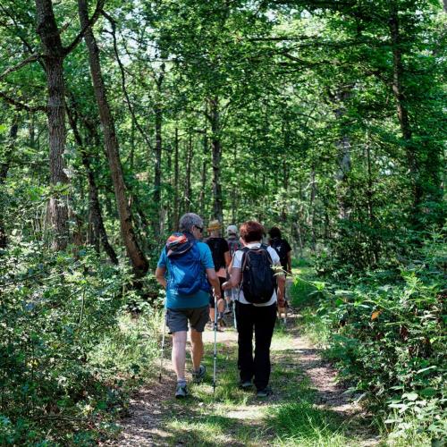 2023-06-08-Espinasse08