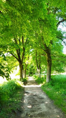 2023-06-08-bis-Pilat02