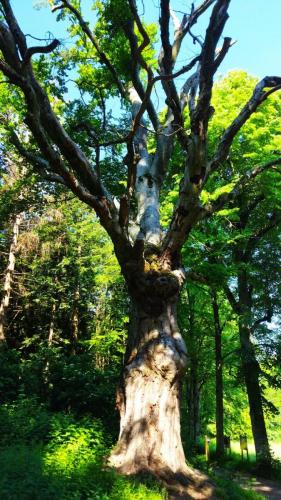 2023-06-08-bis-Pilat03