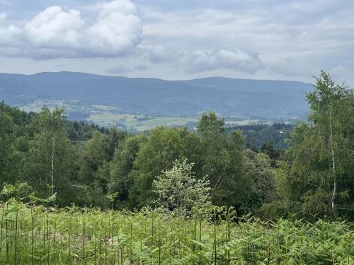 2023-06-12-StPriestLP08