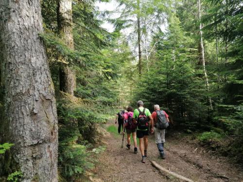 2023-06-12-StPriestLP11