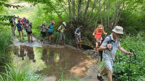 2023-06-15-Ebreuil03