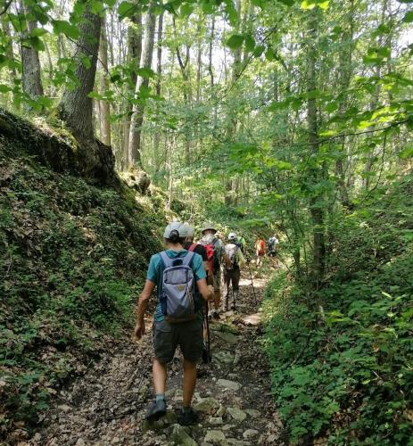 2023-06-15-Ebreuil07