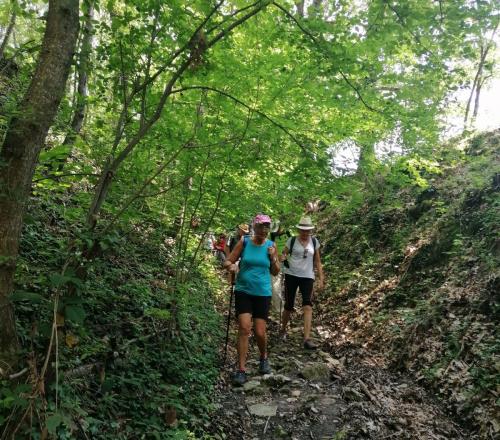 2023-06-15-Ebreuil08