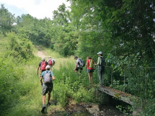 2023-06-15-Ebreuil09