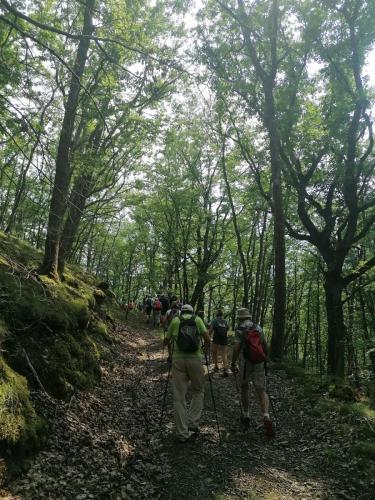 2023-06-15-Ebreuil13