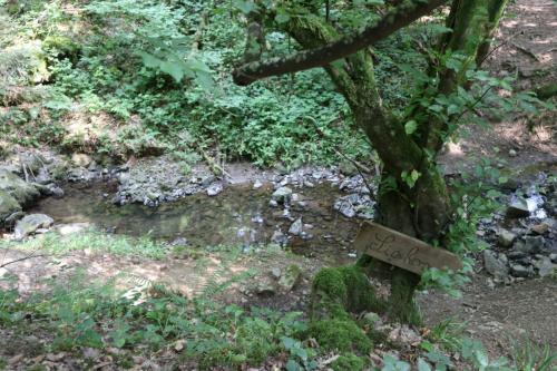 2023-06-17-SportsamdiVernet02