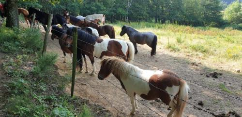 2023-06-17-SportsamdiVernet09