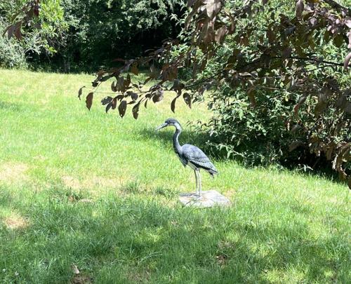 2023-06-19-StMartinD04