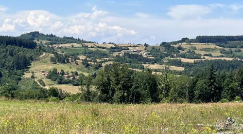 2023-06-19-StMartinD06