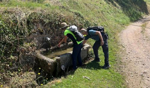 2023-06-19-StMartinD08