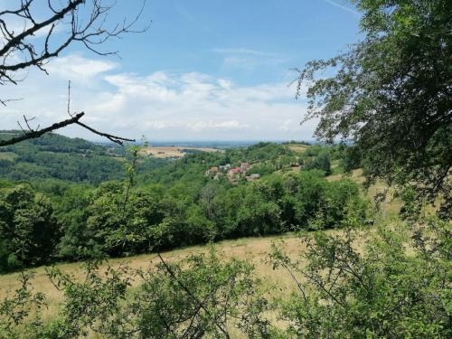 2023-06-19-StMartinD15