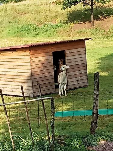 2023-06-19-StMartinD18