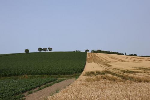 2023-06-27-Brugheas01