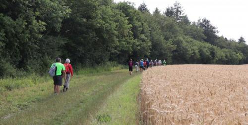 2023-06-27-Brugheas04