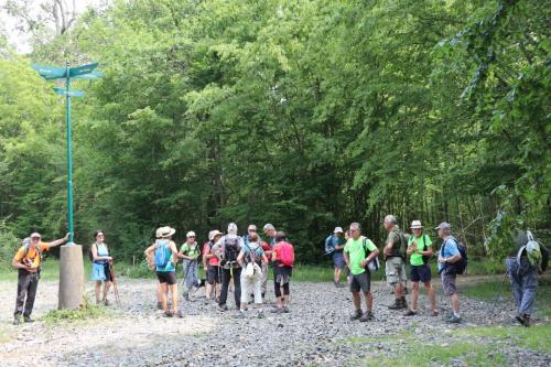 2023-06-27-Brugheas05