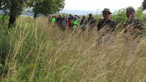 2023-06-27-Brugheas06