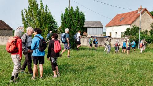 2023-06-27-Brugheas09