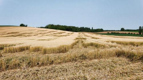 2023-06-27-Brugheas10