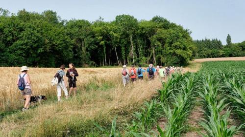 2023-06-27-Brugheas11