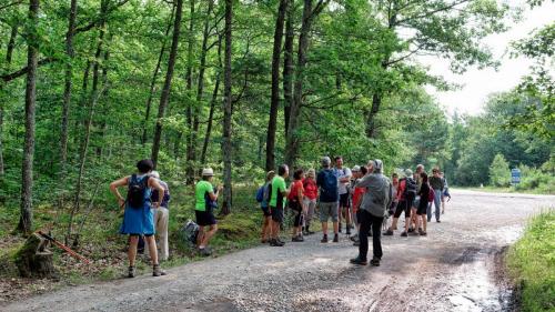 2023-06-27-Brugheas12