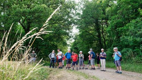 2023-06-27-Brugheas14