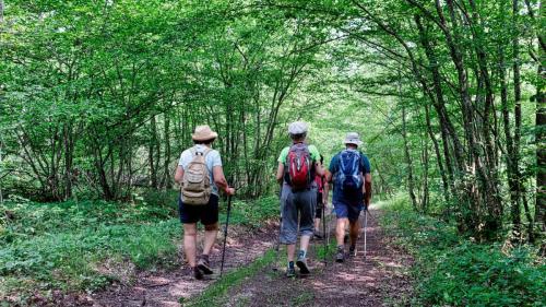 2023-06-27-Brugheas19