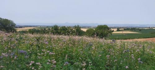 2023-06-27-Luzillat13