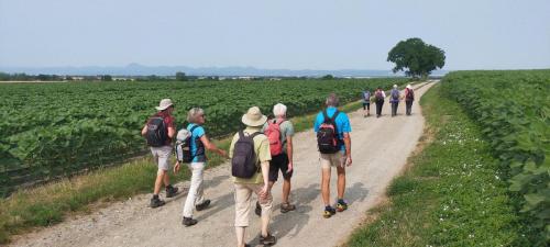 2023-06-27-Luzillat16