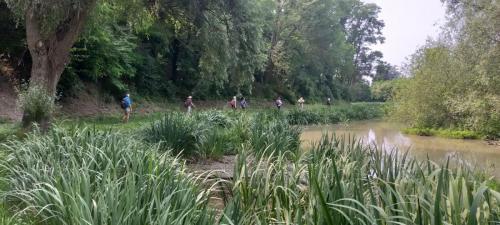 2023-06-27-Luzillat20