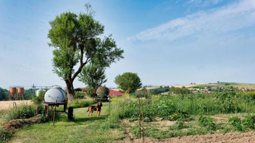 2023-06-29-Chaptuzat04