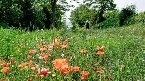 2023-06-29-Chaptuzat13