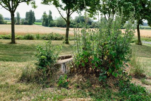 2023-06-29-Chaptuzat14