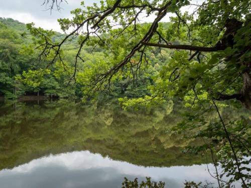 2023-06-29-Chateauneuf03