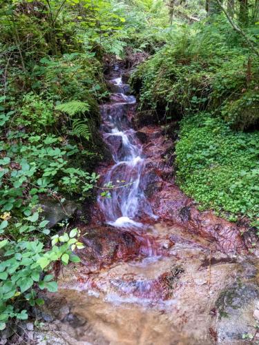 2023-06-29-Chateauneuf06