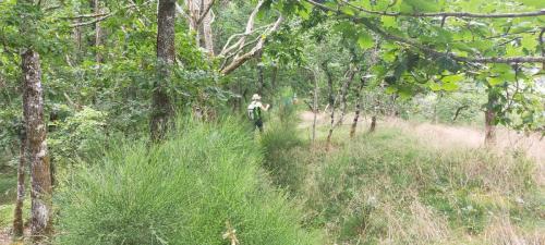 2023-06-29-Chateauneuf20