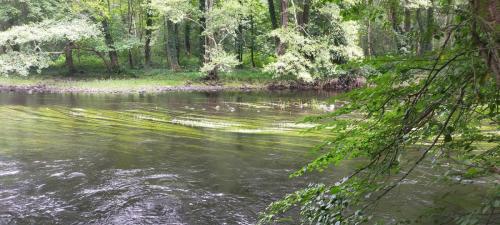 2023-06-29-Chateauneuf23