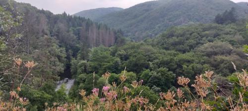 2023-06-29-Chateauneuf24