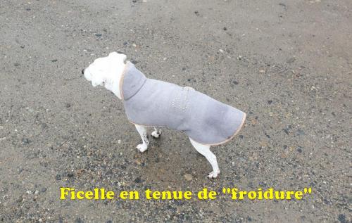 2024-01-08-BoireCarres02