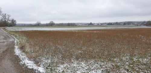 2024-01-08-BoireCarres03